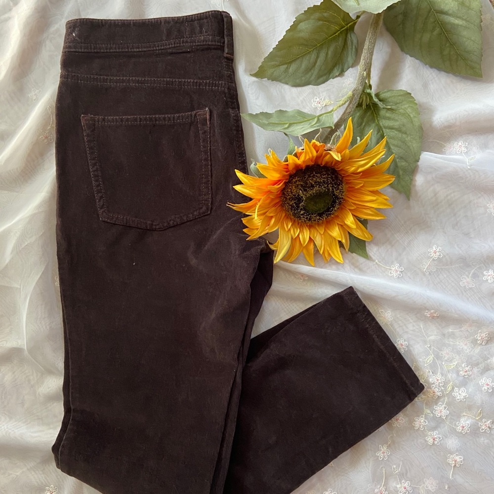 Anthropology Brown Pants